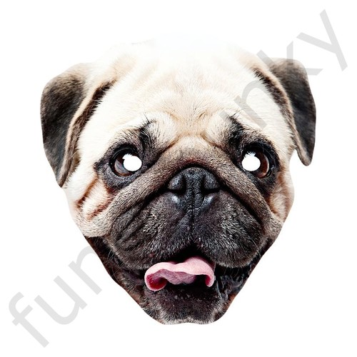 Pug dog animal celebrity card - pug,