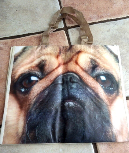 New cute pug - new, dog
