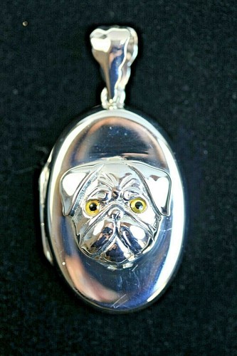 Pug dog face - pug,