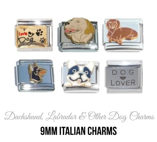 Dogs dog breeds italian - &,
