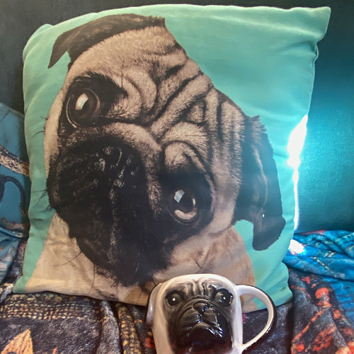 Pug face novelty ceramic - face,