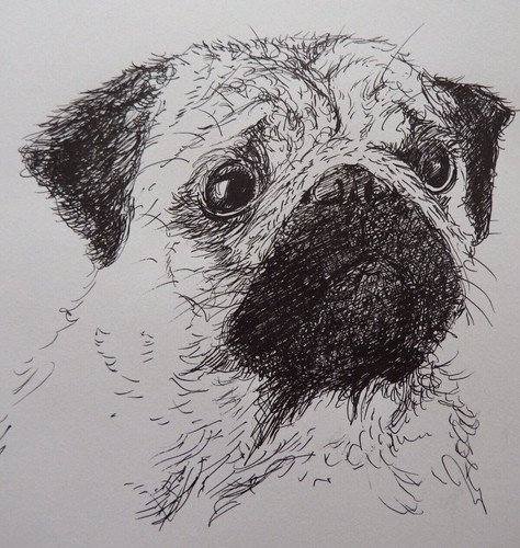 Original black pen - &, dog