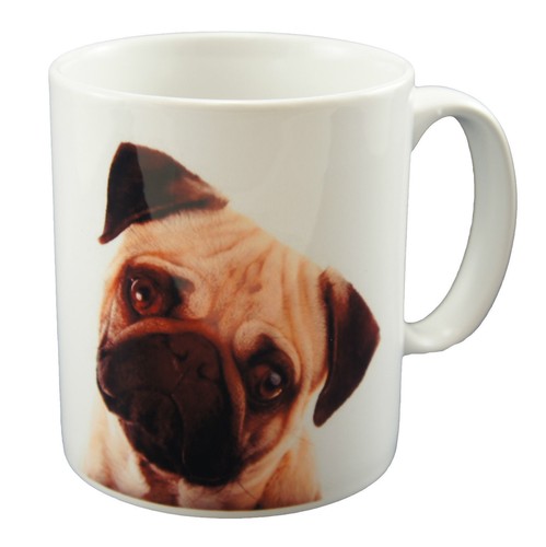 New sweet pug - new, dog