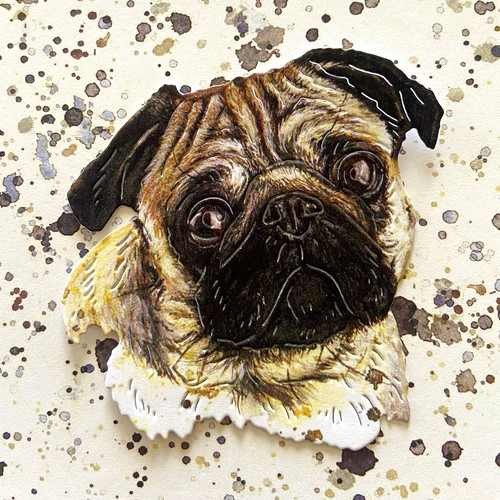 Pug dog face - dog, bree