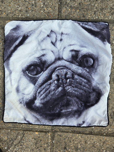 Black white pug - black,