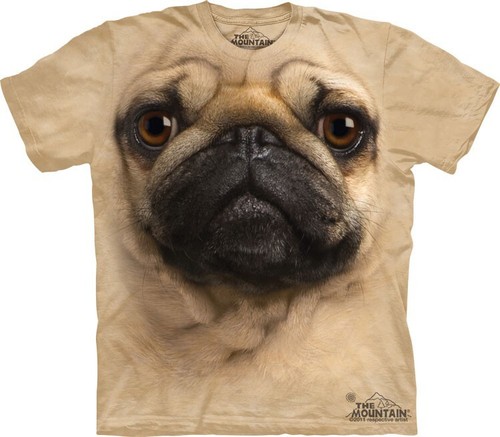 The mountain pug - mountain,