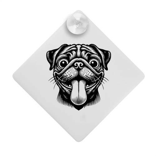 Funny pug face - 'funny, window