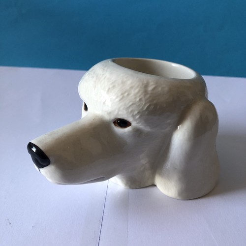 White poodle pug face egg - poodle, cup
