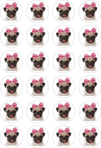 Pug dog face cupcake - pug,