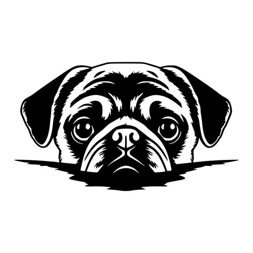 Pug dog puppy peeking - dog,