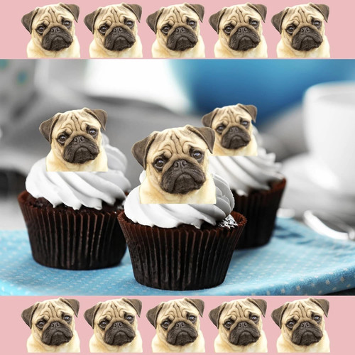 Pre cut pug faces - 18,